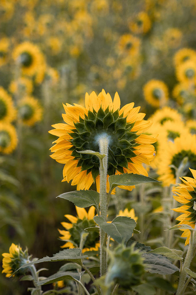 Is This the Best of Times?