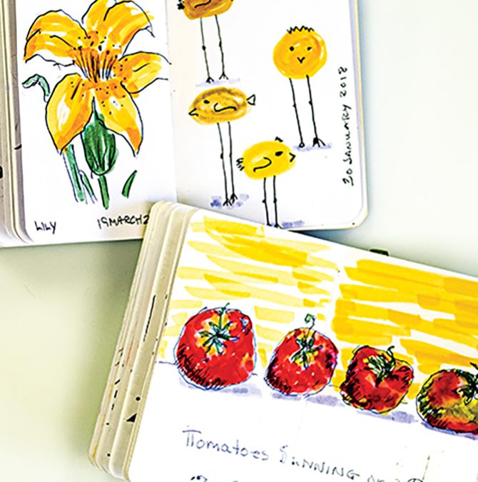 Create a Daily Practice