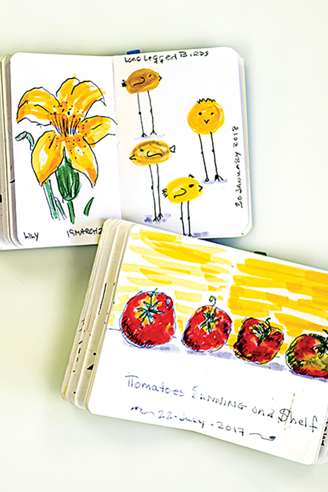 Create a Daily Practice