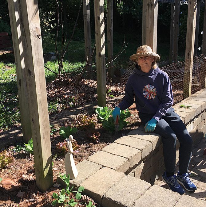 What Your World Looks Like – Noel’s Garden