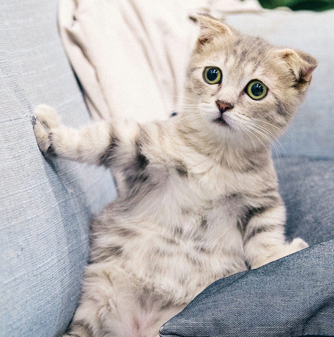 Calming Down: Anxiety In Your Loved One