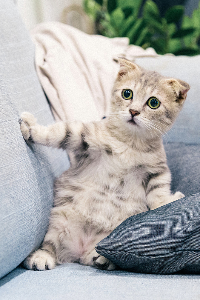 Calming Down: Anxiety In Your Loved One