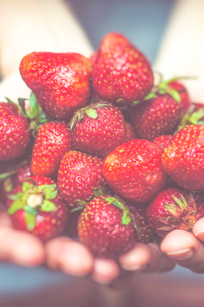 A Cheaper Way to Eat Healthy