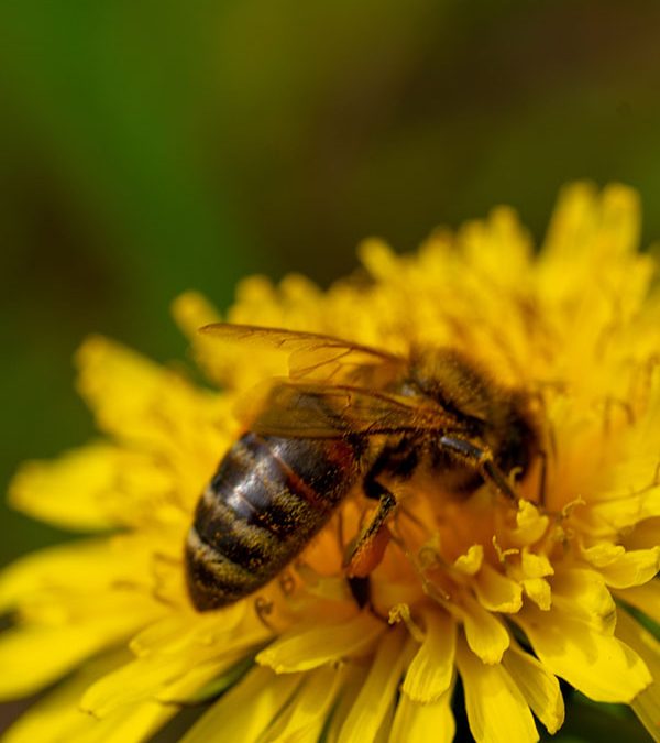 Do You Need A Break?