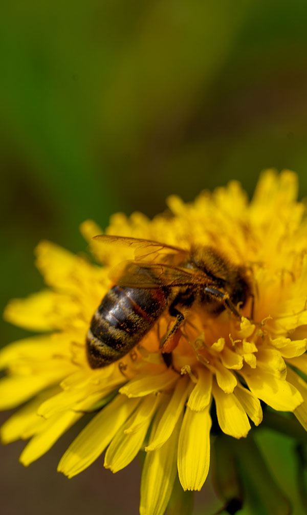 Do You Need A Break?