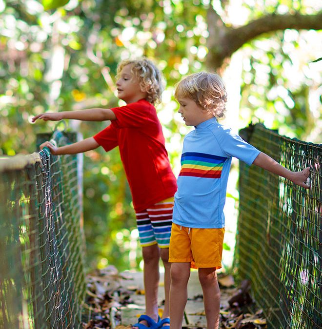 What to Do This Weekend