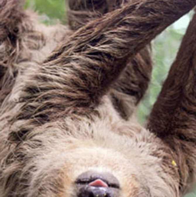 What To Do This Weekend