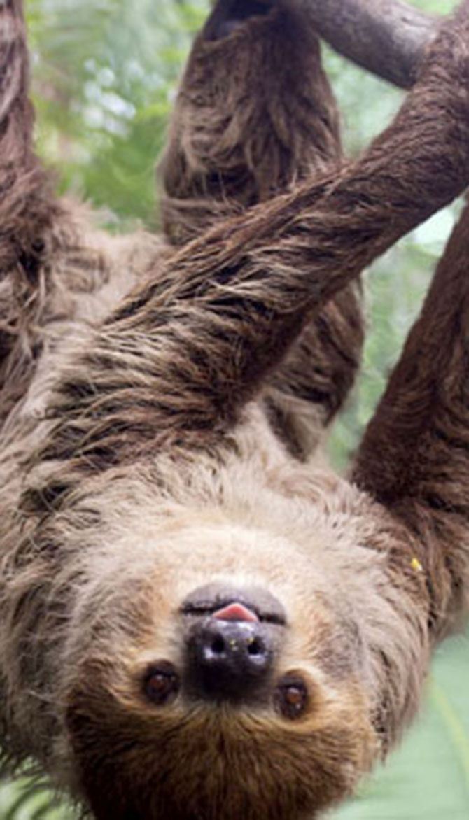 What To Do This Weekend