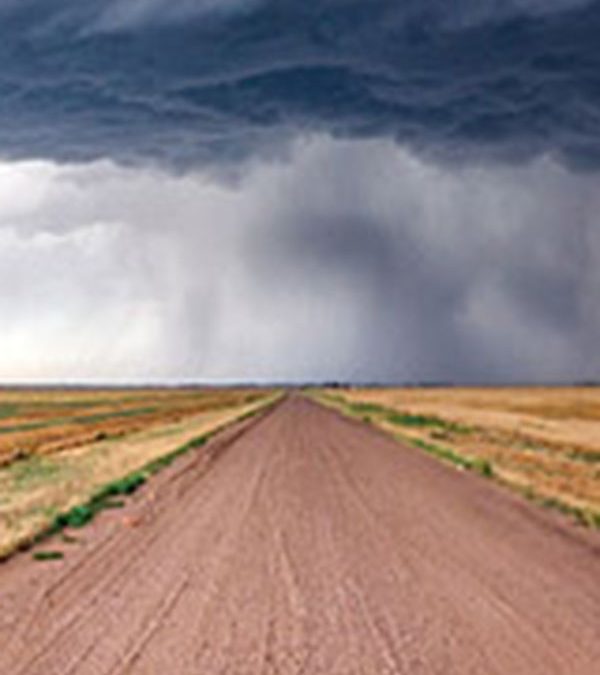 Grow With the Change