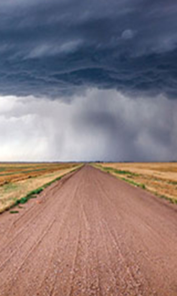 Grow With the Change