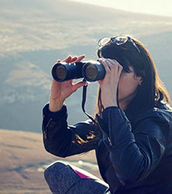 The Job Search: Who Is Hiring In This Area?