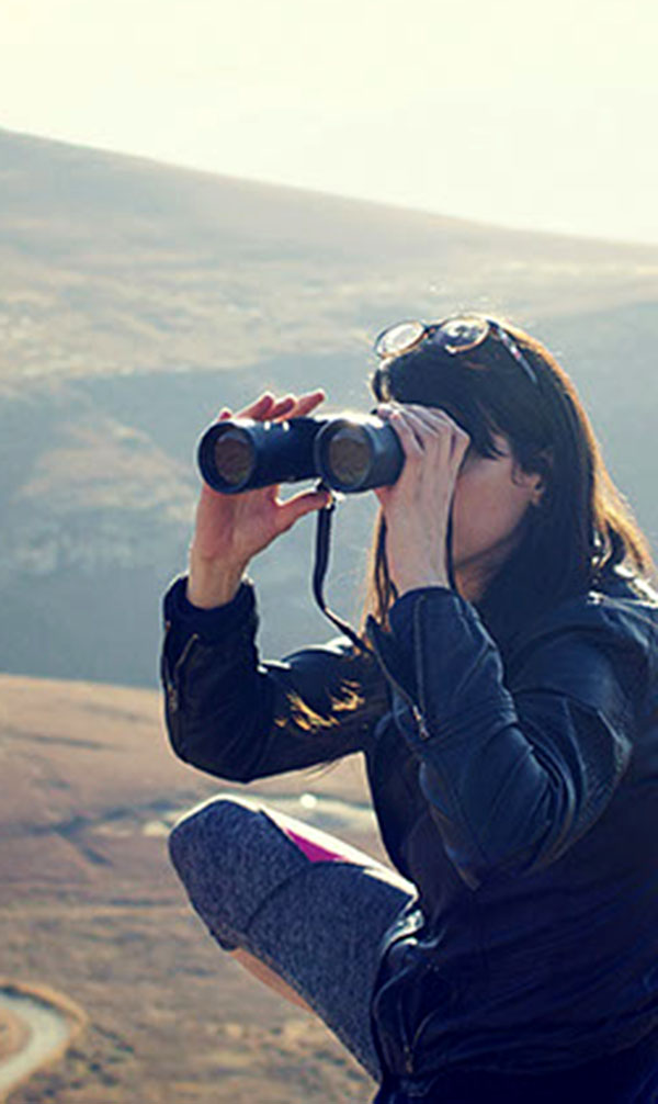 The Job Search: Who Is Hiring In This Area?