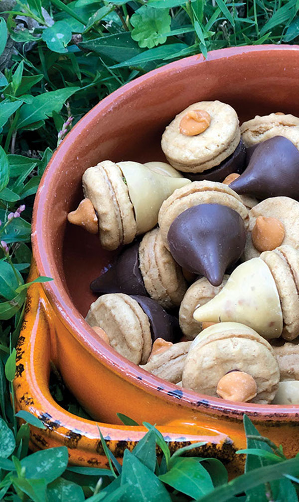 Oak Leaves & Acorns Shortbread Cookies