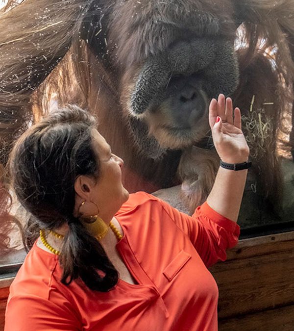 The Big Picture: Kyle Shepherd