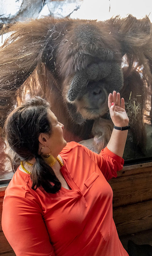 The Big Picture: Kyle Shepherd