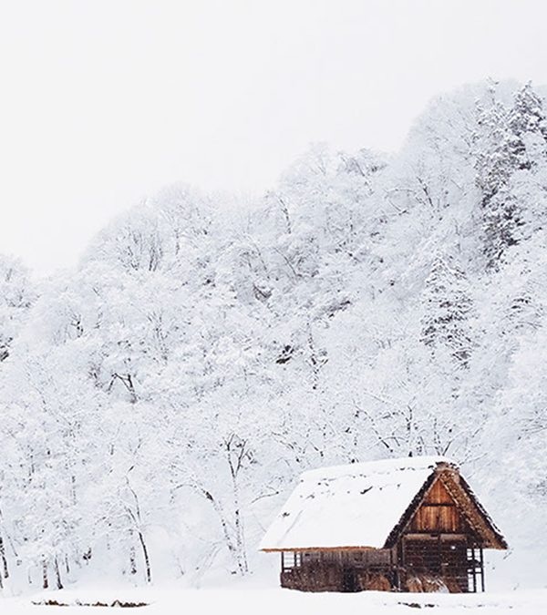 Dealing With Loneliness During The Holidays