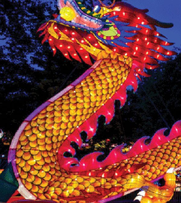 Your Guide to Spring Break