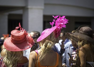 Perenially popular pink in the paddocks.