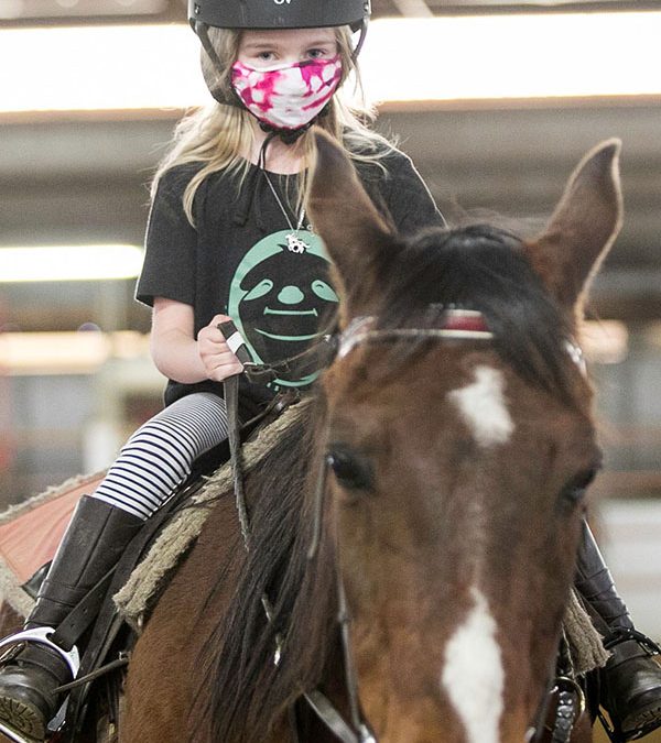 For the Love of Horses