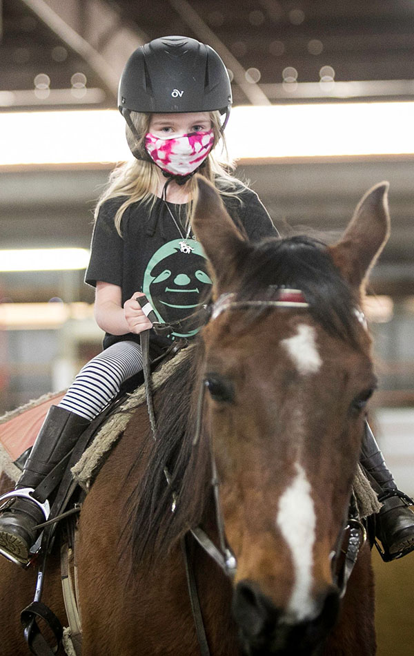 For the Love of Horses