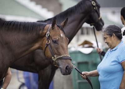 Women on the Backside_001