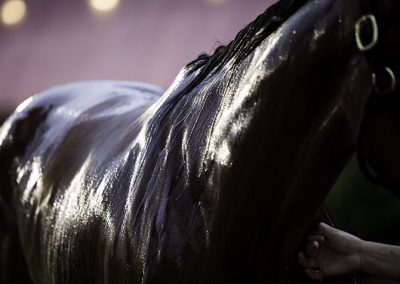 Women on the Backside_002