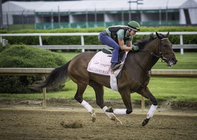 Exercise rider Alisa Morrison takes Millefeuille out for a run.
