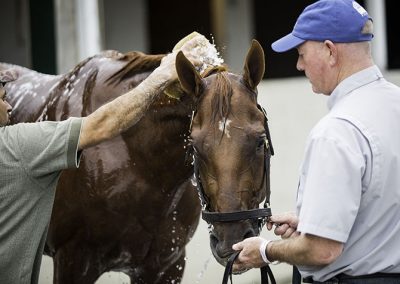 Bath time on the backside.