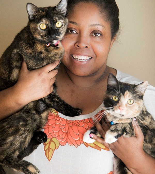 Pandemic Pets: The Comfort of Cats