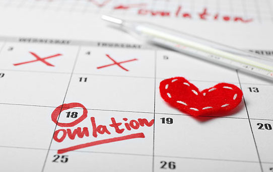 Infertility Evaluations