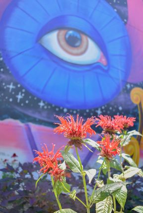 The Best is Right Here!