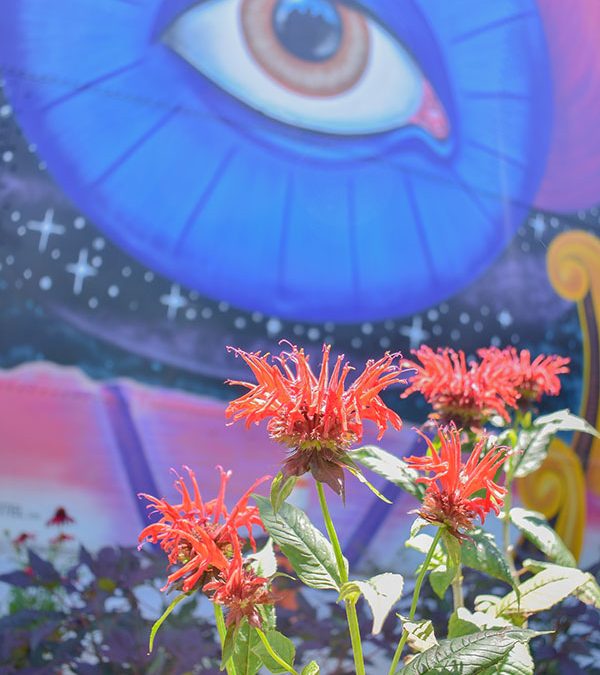 The Best is Right Here!