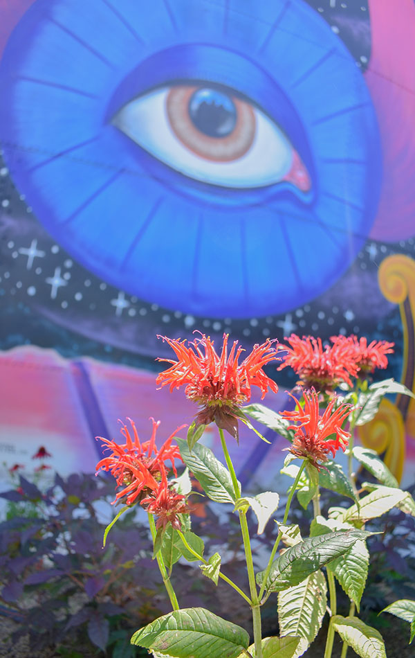 The Best is Right Here!