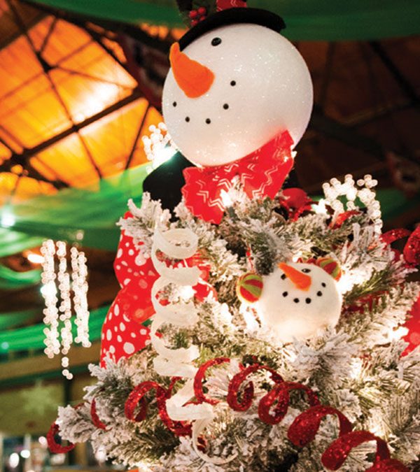 Win Tickets to the Festival of Trees & Lights!