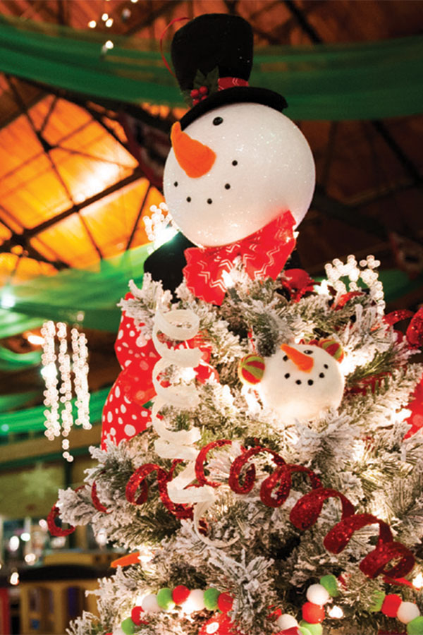 Win Tickets to the Festival of Trees & Lights!