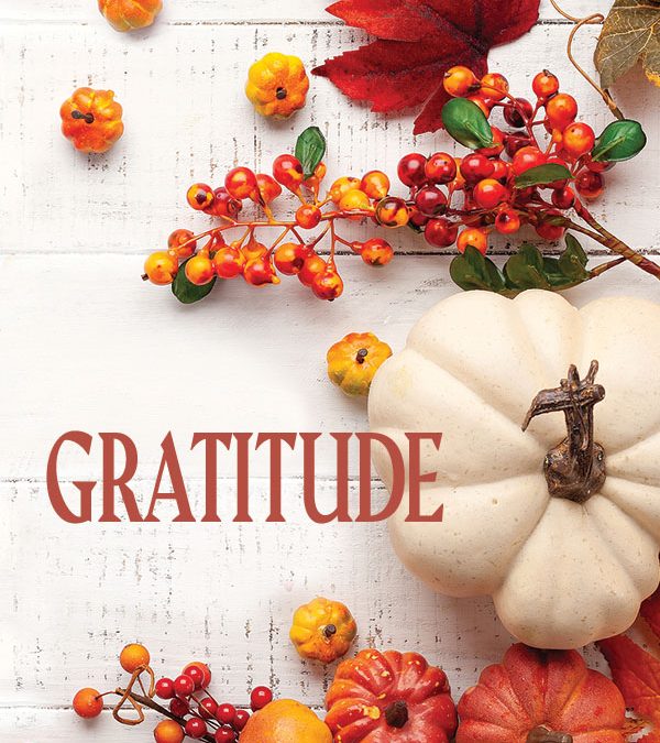 The Gratitude Project — Letters to Those We Appreciate