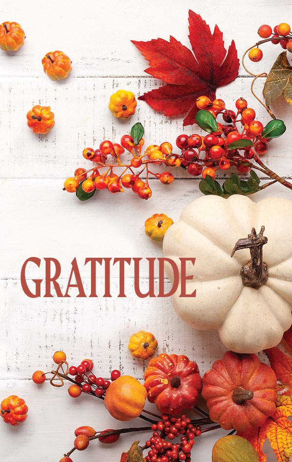 The Gratitude Project — Letters to Those We Appreciate